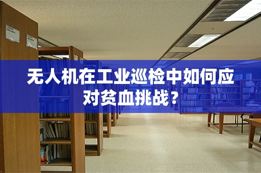 无人机在工业巡检中如何应对贫血挑战？