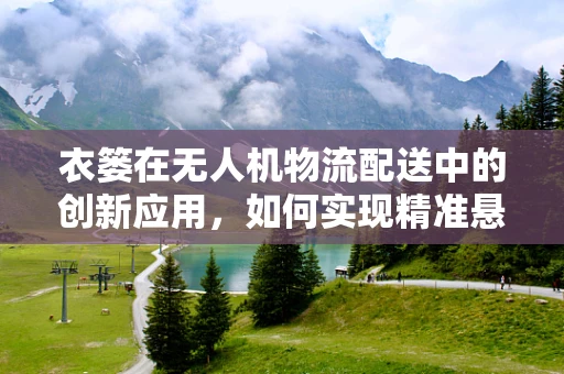 衣篓在无人机物流配送中的创新应用，如何实现精准悬挂与快速取放？