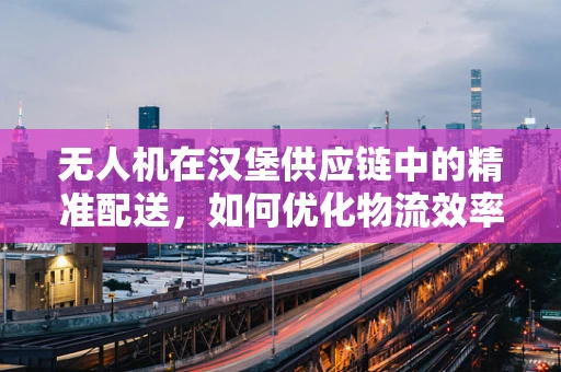 无人机在汉堡供应链中的精准配送，如何优化物流效率？