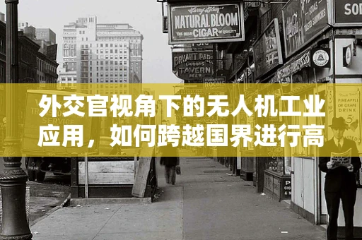 外交官视角下的无人机工业应用，如何跨越国界进行高效协作？