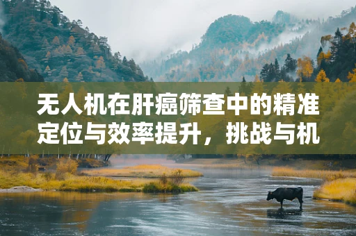 无人机在肝癌筛查中的精准定位与效率提升，挑战与机遇