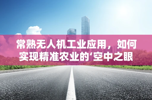 常熟无人机工业应用，如何实现精准农业的‘空中之眼’？