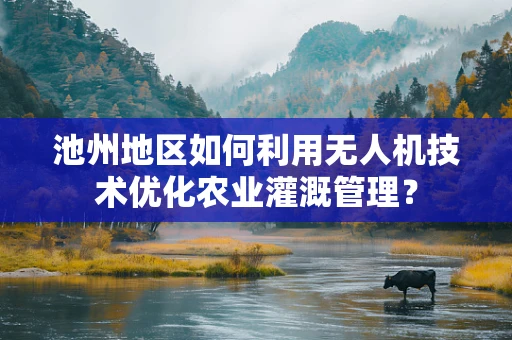 池州地区如何利用无人机技术优化农业灌溉管理？