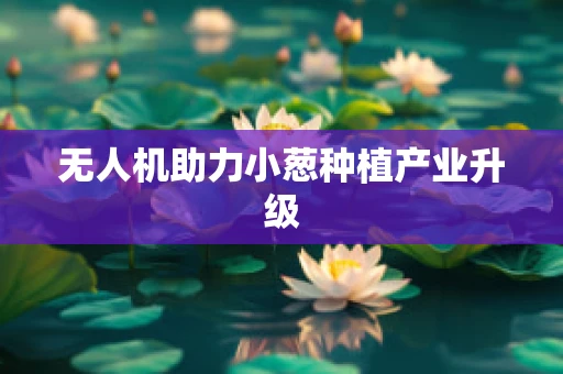无人机助力小葱种植产业升级