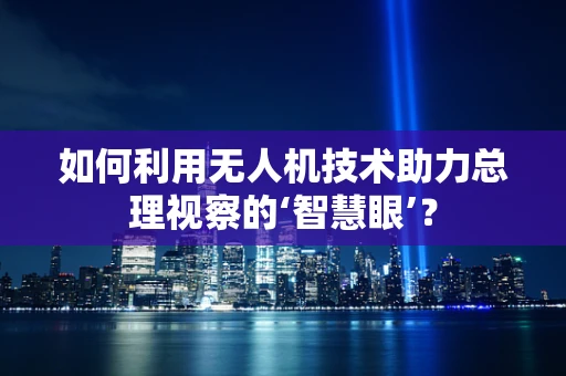 如何利用无人机技术助力总理视察的‘智慧眼’？