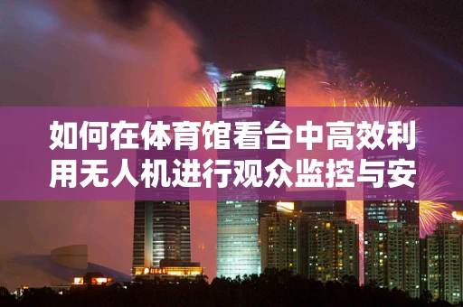 如何在体育馆看台中高效利用无人机进行观众监控与安全维护？