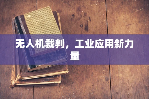 无人机裁判，工业应用新力量