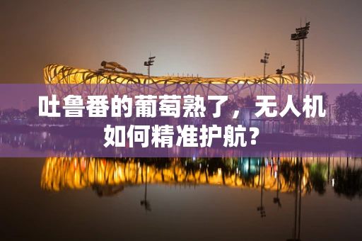 吐鲁番的葡萄熟了，无人机如何精准护航？