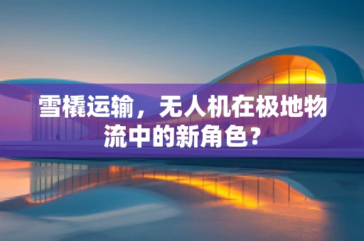 雪橇运输，无人机在极地物流中的新角色？