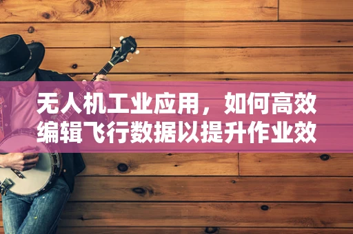 无人机工业应用，如何高效编辑飞行数据以提升作业效率？