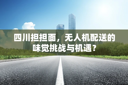 四川担担面，无人机配送的味觉挑战与机遇？