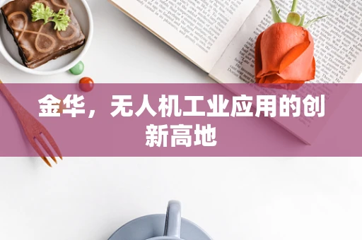 金华，无人机工业应用的创新高地