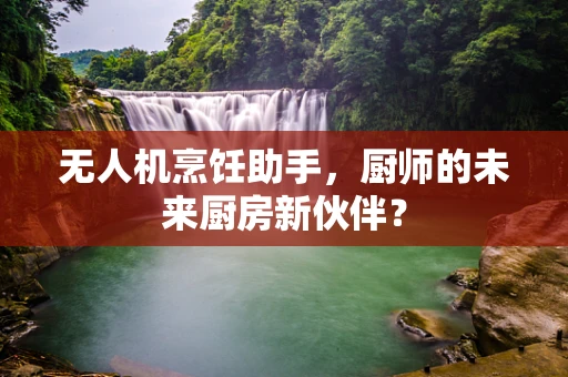 无人机烹饪助手，厨师的未来厨房新伙伴？