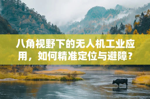 八角视野下的无人机工业应用，如何精准定位与避障？