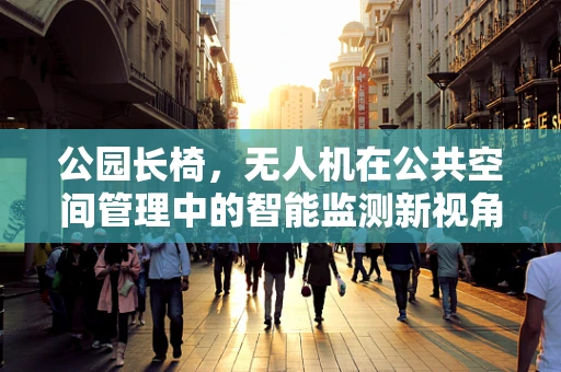 公园长椅，无人机在公共空间管理中的智能监测新视角？