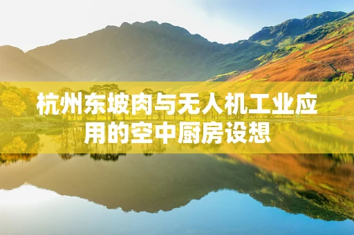 杭州东坡肉与无人机工业应用的空中厨房设想