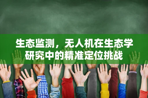 生态监测，无人机在生态学研究中的精准定位挑战