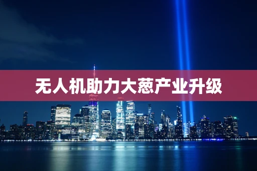 无人机助力大葱产业升级