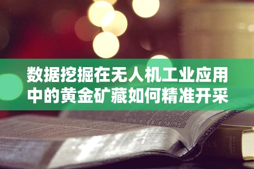 数据挖掘在无人机工业应用中的黄金矿藏如何精准开采？