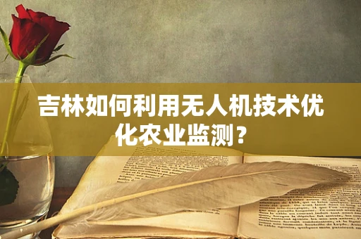 吉林如何利用无人机技术优化农业监测？