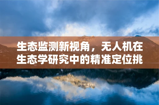生态监测新视角，无人机在生态学研究中的精准定位挑战