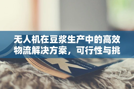 无人机在豆浆生产中的高效物流解决方案，可行性与挑战？
