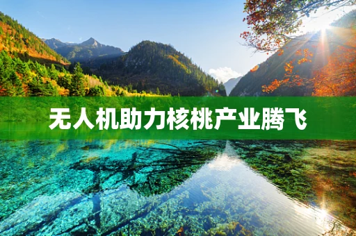无人机助力核桃产业腾飞