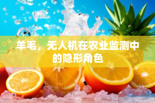 羊毛，无人机在农业监测中的隐形角色
