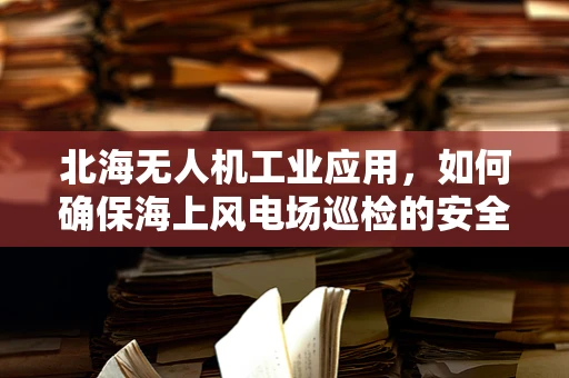北海无人机工业应用，如何确保海上风电场巡检的安全与效率？