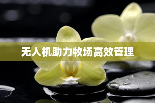 无人机助力牧场高效管理