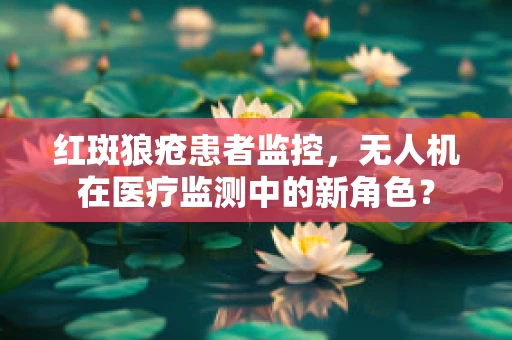 红斑狼疮患者监控，无人机在医疗监测中的新角色？