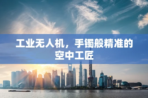 工业无人机，手镯般精准的空中工匠