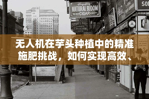 无人机在芋头种植中的精准施肥挑战，如何实现高效、无损监测？