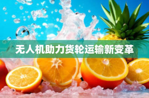 无人机助力货轮运输新变革