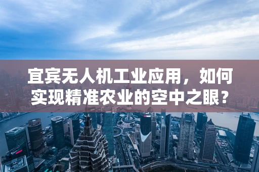 宜宾无人机工业应用，如何实现精准农业的空中之眼？