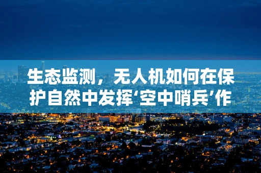 生态监测，无人机如何在保护自然中发挥‘空中哨兵’作用？