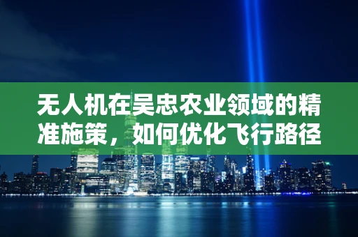 无人机在吴忠农业领域的精准施策，如何优化飞行路径以提升作业效率？
