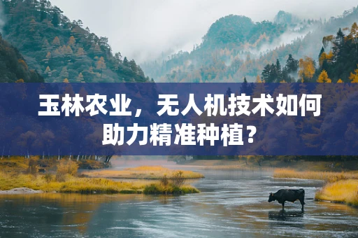 玉林农业，无人机技术如何助力精准种植？
