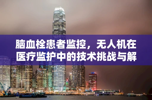 脑血栓患者监控，无人机在医疗监护中的技术挑战与解决方案