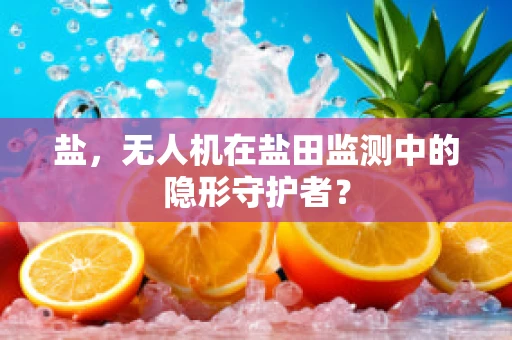 盐，无人机在盐田监测中的隐形守护者？