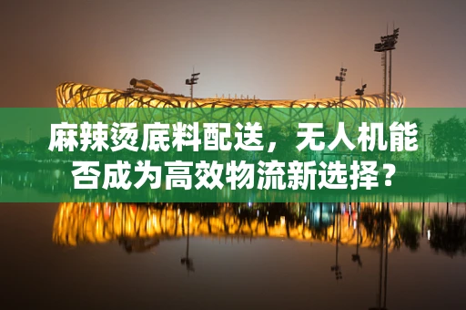 麻辣烫底料配送，无人机能否成为高效物流新选择？