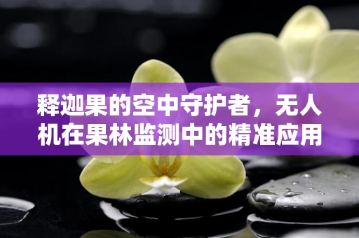 释迦果的空中守护者，无人机在果林监测中的精准应用挑战
