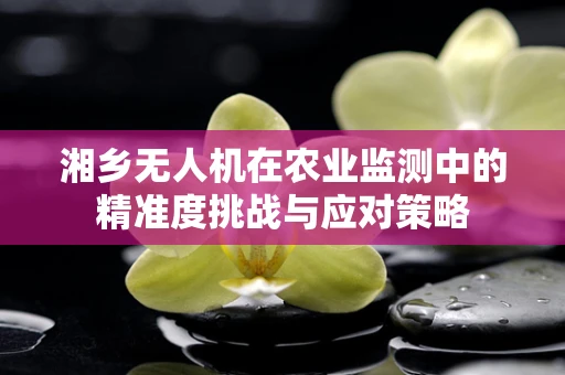 湘乡无人机在农业监测中的精准度挑战与应对策略