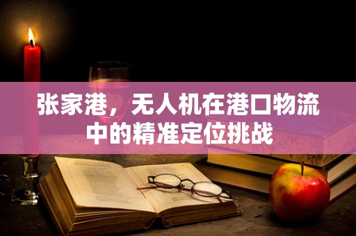 张家港，无人机在港口物流中的精准定位挑战