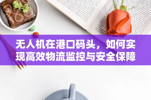 无人机在港口码头，如何实现高效物流监控与安全保障？