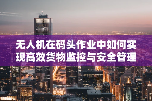 无人机在码头作业中如何实现高效货物监控与安全管理？