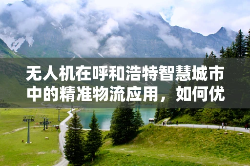 无人机在呼和浩特智慧城市中的精准物流应用，如何优化配送效率？