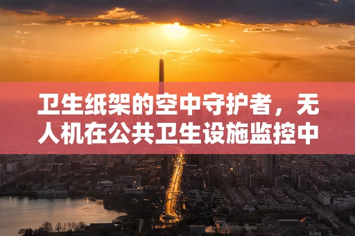 卫生纸架的空中守护者，无人机在公共卫生设施监控中的应用？