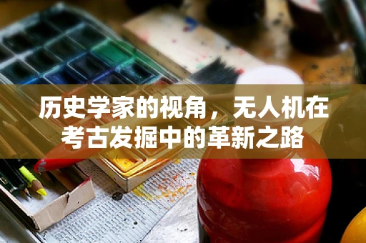 历史学家的视角，无人机在考古发掘中的革新之路