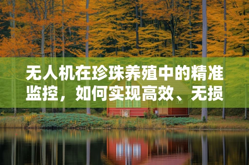 无人机在珍珠养殖中的精准监控，如何实现高效、无损的珍珠质量评估？